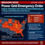 power_grid_emergency_order